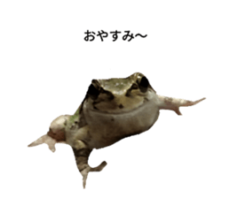 760285243