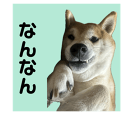 760291229