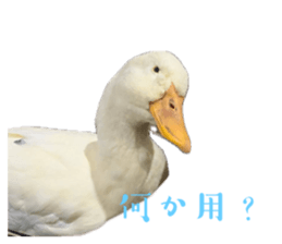 760304185