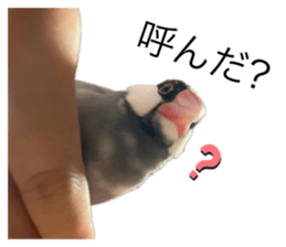 760310657
