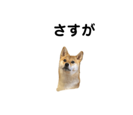 760310725