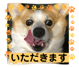 760322151