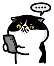 760331078