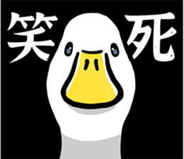 760331299