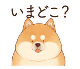 760338937