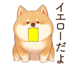 760338944