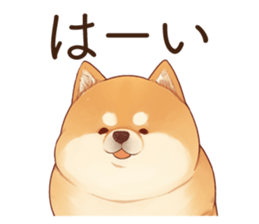 760338953