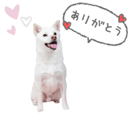 760340120