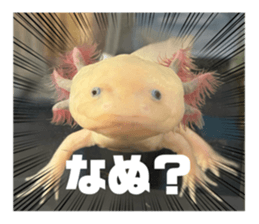 760342514