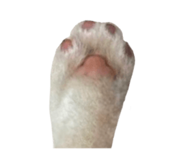 760350923