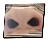 760351051
