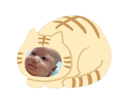 760366605