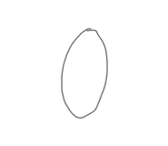 760376064