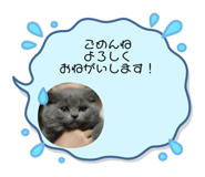 760376850