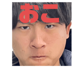 760377017