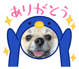760383579
