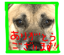 760397640
