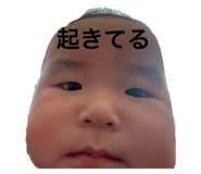 760397794