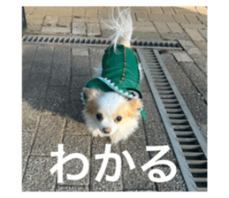 760401632
