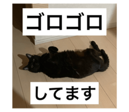 760401636