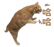 760402257