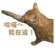 760402271