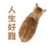 760402275