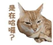 760402279