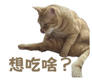 760402284