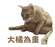 760402285