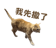 760402289