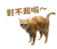 760402296