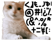 760405365