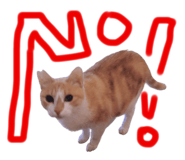 760405376
