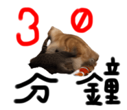 760405381