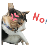760409536