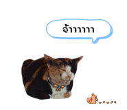 760409544