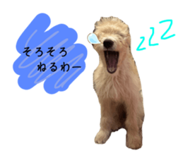 760415468