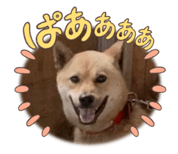 760426755
