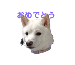 760440737