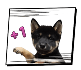 760453279