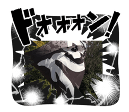 760492543