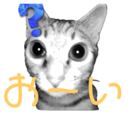 760519766