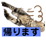 760519767