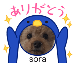 760522893