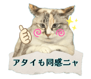 760529388