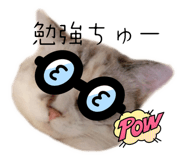 760529390