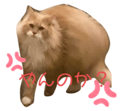 760537565
