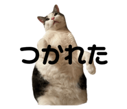 760541425