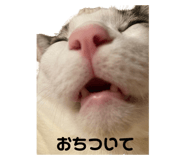 760541432